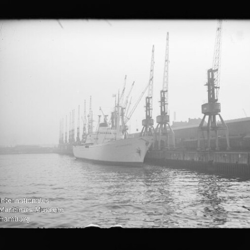 Großes Frachtschiff am Kai neben Reihe hoher Hafenkräne bei diesigem Licht; Wasser im Vordergrund.