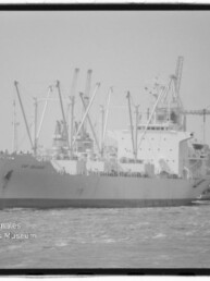 Großes Frachtschiff mit Ladekränen und Schlepper im Hafen, links Wasserzeichen Internationales Maritimes Museum Hamburg