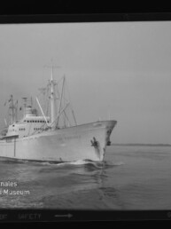 Weißes Frachtschiff mit Aufbauten und Ladekränen fährt bei ruhiger See, von vorn links aufgenommen.
