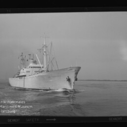 Weißes Frachtschiff mit Aufbauten und Ladekränen fährt bei ruhiger See, von vorn links aufgenommen.