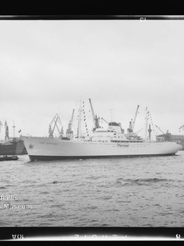 Großes weißes Passagierschiff im Hafen, begleitet von Schleppern vor Werfskränen, Schwarzweißaufnahme.