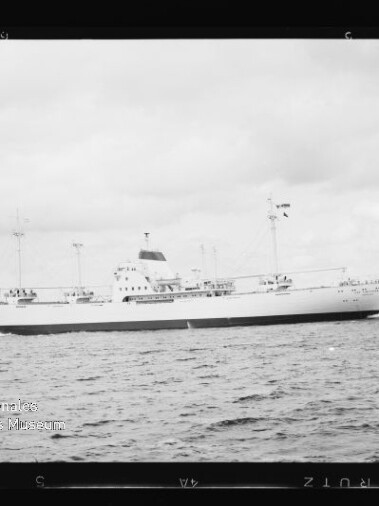 Weißes Passagierschiff im Profil auf ruhiger See, mit Schriftzug des Internationalen Maritimen Museums Hamburg unten links.