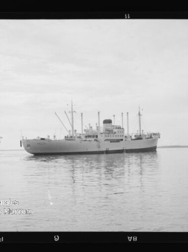 Großes Frachtschiff mittig auf ruhiger See, ein zweites Schiff links im Hintergrund, Schwarzweiß-Aufnahme.