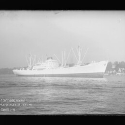 Weißes Frachtschiff mit mehreren Masten und Ladebäumen fährt vor einer Küstenlinie; unten links sichtbares Wasserzeichen des Internationalen Maritimen Museums Hamburg.