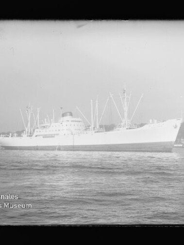 Weißes Frachtschiff mit mehreren Masten und Ladebäumen fährt vor einer Küstenlinie; unten links sichtbares Wasserzeichen des Internationalen Maritimen Museums Hamburg.