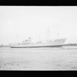 Weißes Schiff mit Masten und Wimpel fährt auf ruhigem Wasser vor flachem Ufer; Wasserzeichen: Maritimes Museum