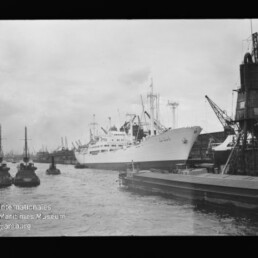 Weißes Passagierschiff am Industriehafen, links mehrere Schlepper, rechts Kräne am Kai und Wasserzeichen Internationales Maritimes Museum Hamburg.