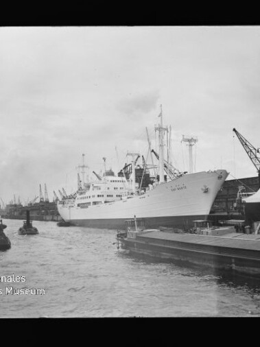 Weißes Passagierschiff am Industriehafen, links mehrere Schlepper, rechts Kräne am Kai und Wasserzeichen Internationales Maritimes Museum Hamburg.