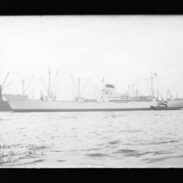 Großes Frachtschiff am Hafen mit zahlreichen Kränen im Hintergrund und einem kleinen Schlepper an seiner Seite.
