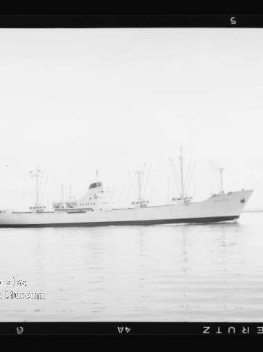 Großes Frachtschiff fährt ruhig auf dem Wasser, zwei kleine Boote im Vordergrund und Baumzweige oben links.