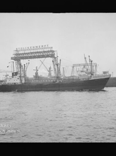 Frachtschiff fährt an einer Werft vorbei, großes Stahlgerüst mit Schriftzug STOLCKENWERFT und Kränen im Hintergrund.