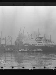 Großes Frachtschiff im Hafen mit Kränen und Beibooten, Spiegelung im Wasser; Schriftzug Internationales Maritimes Museum Hamburg.