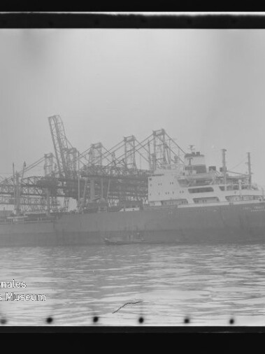 Großes Frachtschiff am Industriehafen mit mehreren Ladekränen im Hintergrund und ruhiger Wasserfläche im Vordergrund.