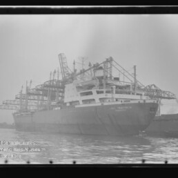 Großes Frachtschiff am Kai mit mehreren Hafenkränen und Umladeanlagen, ruhiges Wasser im Vordergrund.