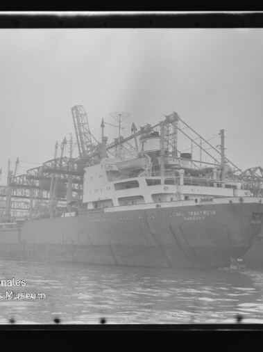 Großes Frachtschiff am Kai mit mehreren Hafenkränen und Umladeanlagen, ruhiges Wasser im Vordergrund.