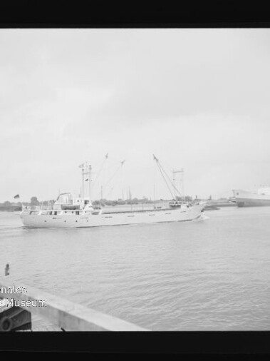 Weißes Frachtschiff mit Masten fährt am Kai vorbei; links unten Wasserzeichen Internationales Maritimes Museum Hamburg.