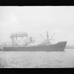 Frachtschiff im Hafen vor großen Krananlagen; links unten Logo mit Schrift Internationales Maritimes Museum Hamburg.