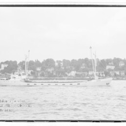 Weißes Schiff vor Ufer mit Bäumen und Häusern; links unten Wasserzeichen des Museums Hamburg.