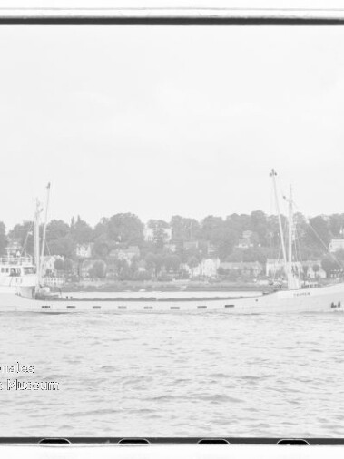 Weißes Schiff vor Ufer mit Bäumen und Häusern; links unten Wasserzeichen des Museums Hamburg.