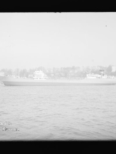 Langgestrecktes Frachtschiff auf ruhiger See vor unscharfer Uferbebauung.