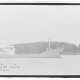 Frachtschiff vor bewaldeter Küste in ruhigem Wasser mit sichtbaren Aufbauten und markantem Bug.