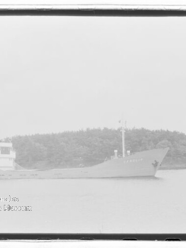 Frachtschiff vor bewaldeter Küste in ruhigem Wasser mit sichtbaren Aufbauten und markantem Bug.