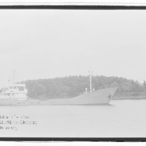 Frachtschiff vor bewaldeter Küste in ruhigem Wasser mit sichtbaren Aufbauten und markantem Bug.
