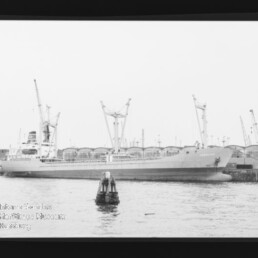 Frachtschiff liegt am Industriehafen mit beidseitigen Ladekränen, Boje im Vordergrund und Lagerhallen im Hintergrund.