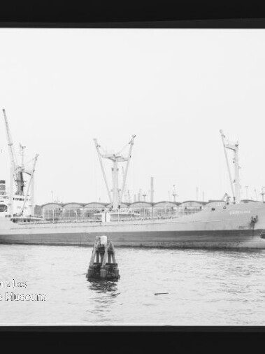 Frachtschiff liegt am Industriehafen mit beidseitigen Ladekränen, Boje im Vordergrund und Lagerhallen im Hintergrund.