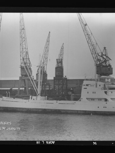 Weißes Frachtschiff am Kai vor mehreren hohen Hafenkränen, schwarzweißes Foto mit Museumsstempel unten links.