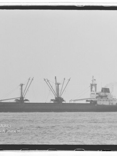 Frachtschiff in Seitansicht mit mehreren Ladekränen auf ruhiger See, Wasserzeichen des Internationalen Maritimen Museums Hamburg