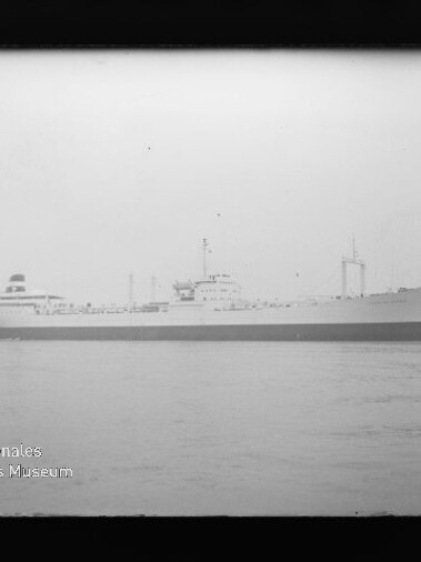 Schwarzweiß-Seitenansicht eines großen Frachtschiffs auf ruhiger See, mit Wasserzeichen Internationales Maritimes Museum Hamburg.
