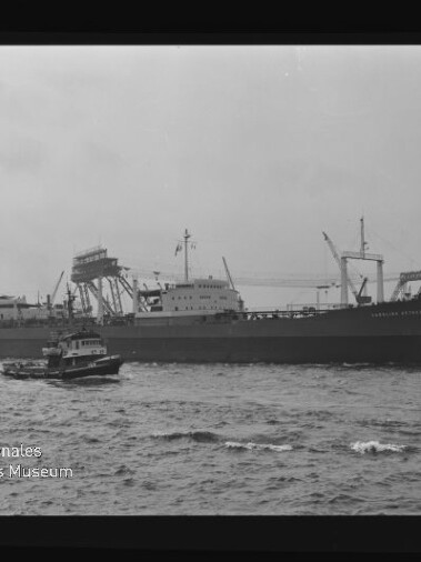 Schwarzweißaufnahme zweier Frachtschiffe im Hafen, im Vordergrund ein Schlepper und im Hintergrund Ladekräne an der Pier.