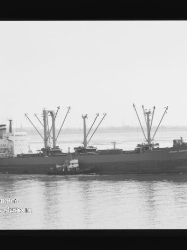 Frachtschiff mit mehreren Ladekränen und einem Schlepper an der Seite auf ruhigem Wasser, schwarzweiß, Museumswasserzeichen links unten.