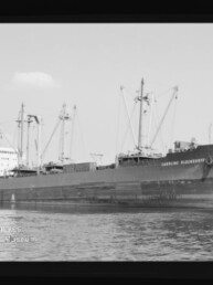Großes Frachtschiff mit mehreren Ladekränen und gut sichtbarem Schiffsname am Bug, auf ruhigem Wasser vor einem Hafen