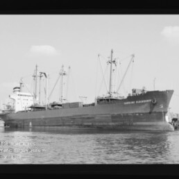 Großes Frachtschiff mit mehreren Ladekränen und gut sichtbarem Schiffsname am Bug, auf ruhigem Wasser vor einem Hafen