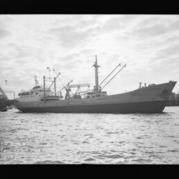 Frachtschiff seitlich im Hafen mit Bordkränen, Hafenkranen im Hintergrund und ruhiger Wasseroberfläche