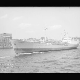 Frachtschiff Capricornus fährt in Hafennähe vor Lagerhäusern, mit leichter Bugwelle und Wasserzeichen Internationales Maritimes Museum Hamburg links unten