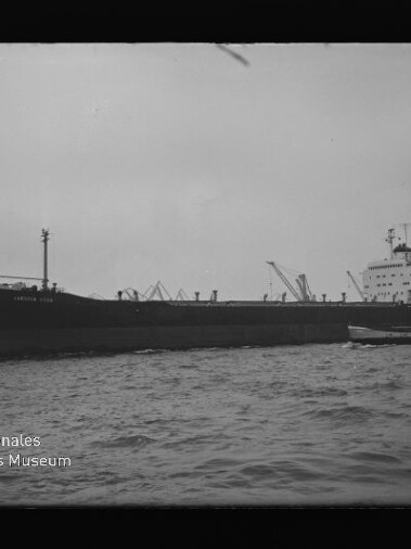 Großes Frachtschiff in Seitenansicht im Hafen, begleitet von einem kleinen Schlepper, ruhiges Wasser im Vordergrund.