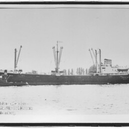 Seitliche Aufnahme eines Frachtschiffs mit mehreren Ladekränen und einem Schlepper an ruhiger Wasseroberfläche.