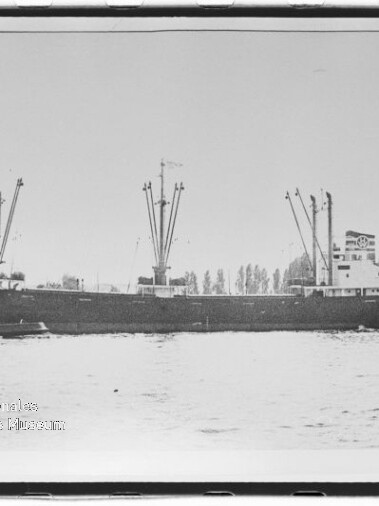 Seitliche Aufnahme eines Frachtschiffs mit mehreren Ladekränen und einem Schlepper an ruhiger Wasseroberfläche.