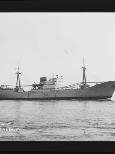 Seitliche Aufnahme eines Frachtschiffs mit zwei Masten und mittigem Aufbau auf dem Meer; Schwarzweißfoto mit Museumslogo.