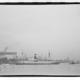 Großes Frachtschiff im Hafen mit Schlepper daneben und Hafenkränen, Wasserzeichen Museum Hamburg