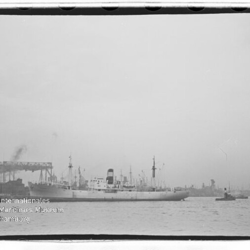 Großes Frachtschiff im Hafen mit Schlepper daneben und Hafenkränen, Wasserzeichen Museum Hamburg