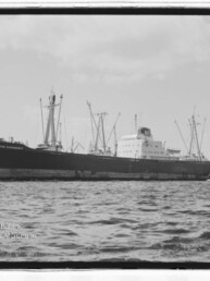 Großes Frachtschiff mit Ladekränen und kleinem Schlepper im Hafen, Schwarzweißaufnahme mit Museumswasserzeichen.