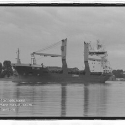 Frachtschiff CELLUS mit zwei großen Ladekranen auf ruhigem Wasser, Spiegelung und bewaldetes Ufer im Hintergrund.