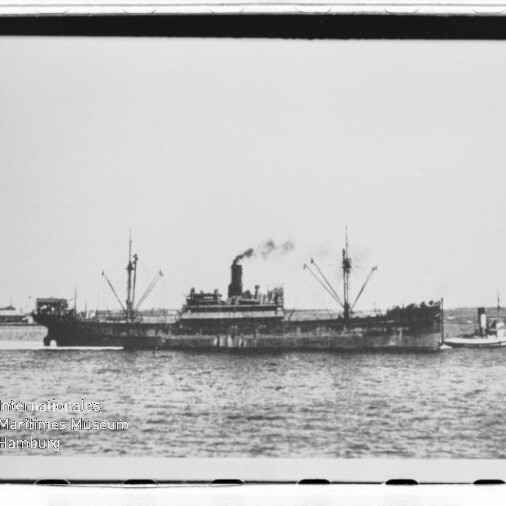 Dampffrachtschiff mit rauchendem Schornstein und Ladebäumen, kleines Begleitschiff, Wasser und Küste; Museumslogo links unten.