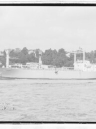 Großes Frachtschiff auf dem Wasser vor baumbewachsenem Ufer mit Häusern im Hintergrund.