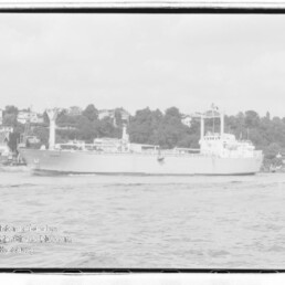 Großes Frachtschiff auf dem Wasser vor baumbewachsenem Ufer mit Häusern im Hintergrund.