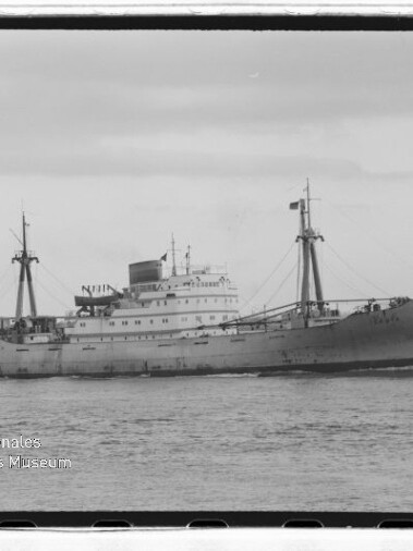 Graustufiges Frachtschiff mit zwei Masten und Aufbauten vor flacher Küste, mit Wasserzeichen Maritimes Museum Hamburg.